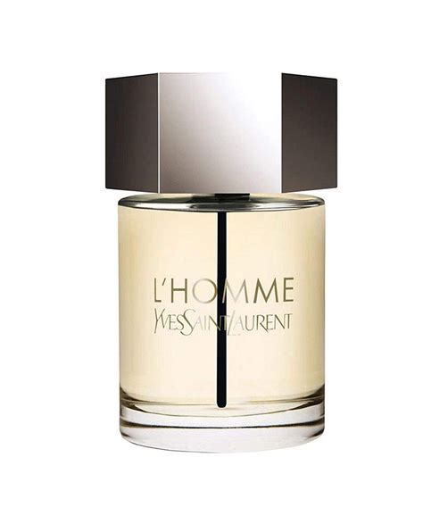 l'homme yves saint laurent eau spray|yves saint laurent l'homme review.